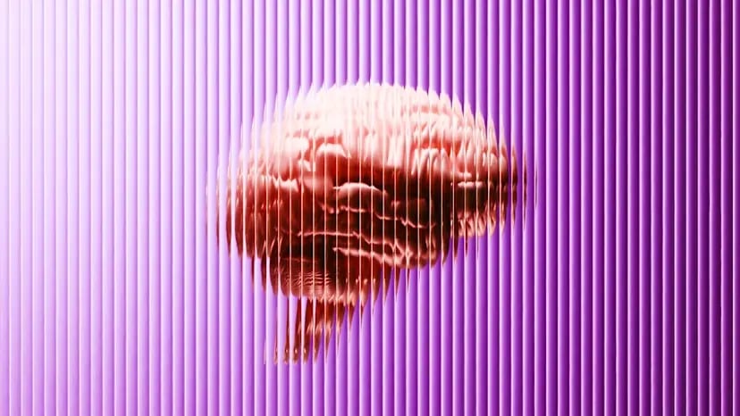 brains-believe-lies-inc-2237386890